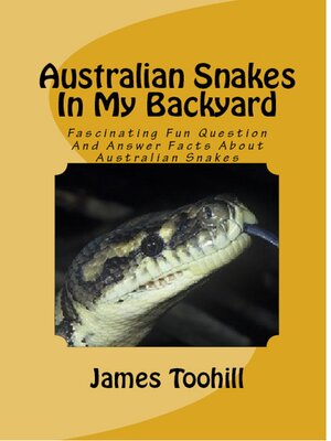 cover image of Australian Snakes In My Backyard
